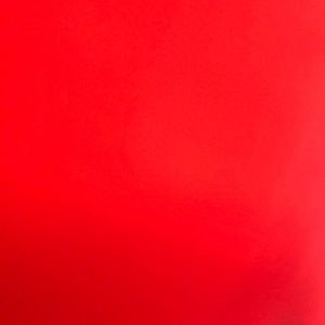 Meet your Posher, Wyatt